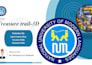 create professional powerpoint presentation and PPT slides design